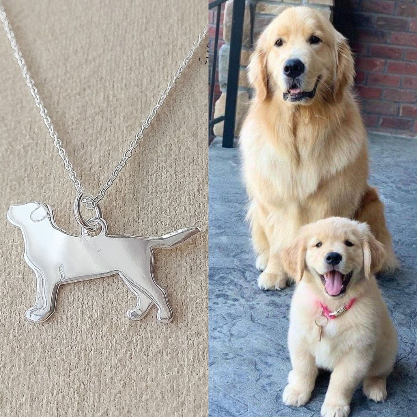 Colar Pet Labrador - A Bijuteria