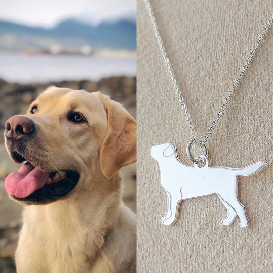 Colar Pet Labrador - A Bijuteria