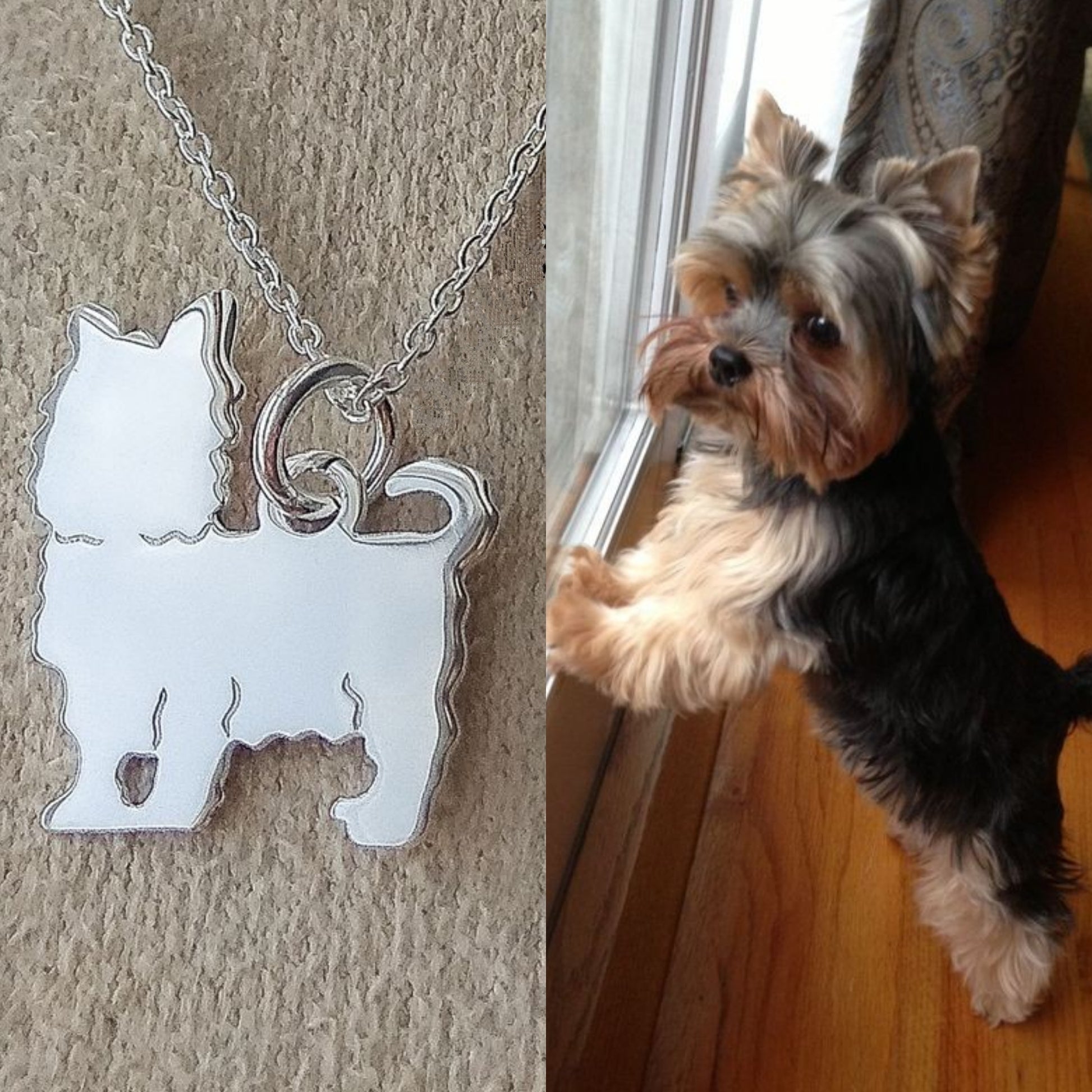 Colar Pet Yorkshire - A Bijuteria