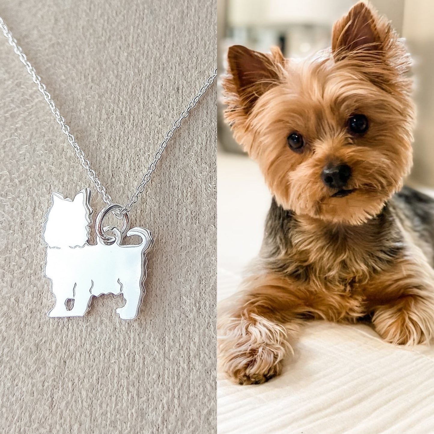 Colar Pet Yorkshire - A Bijuteria